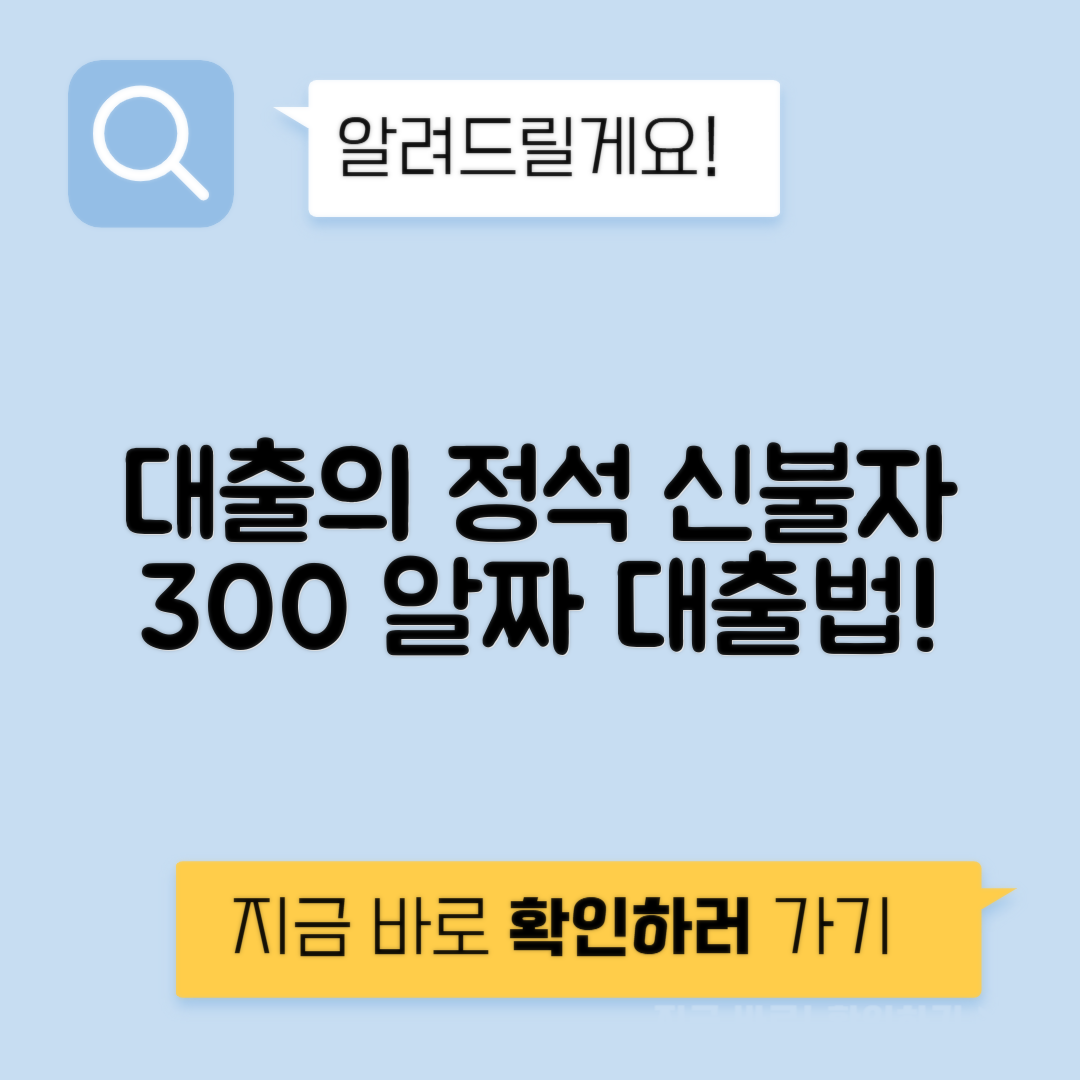 신불자 300대출 가능한 곳 - 신용불량자 대출방법 대출 상품 요약 정리