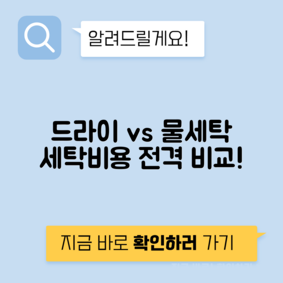 세탁소 드라이 vs 물세탁 특수세탁 가격 약품비