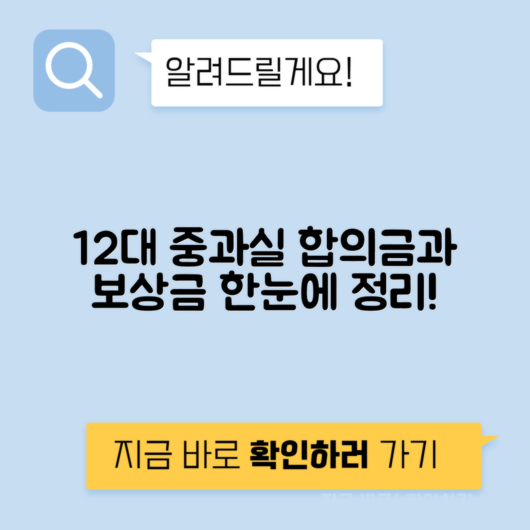 12대 중과실 종류 벌금 합의금 - 보장받는법 총정리