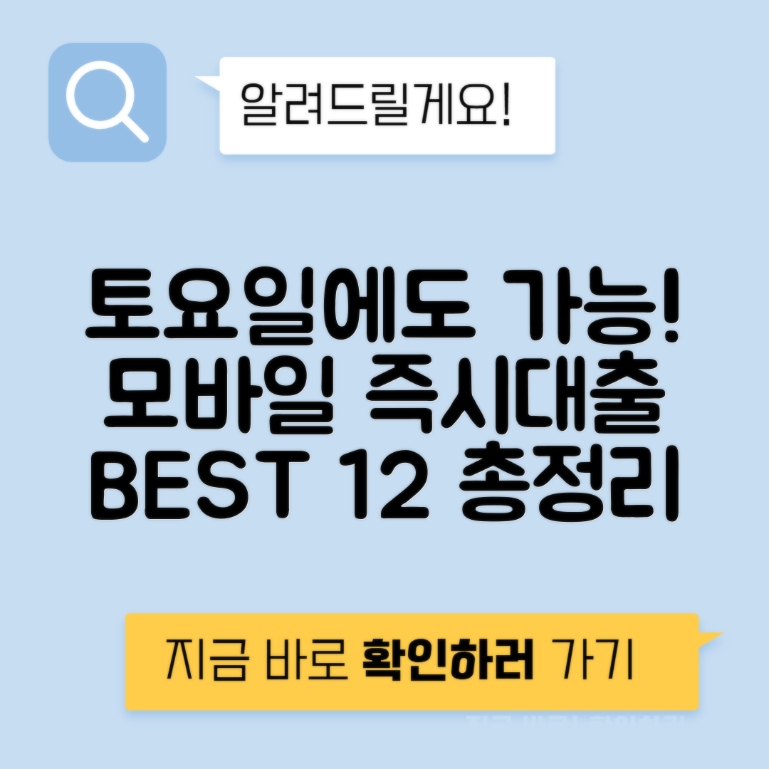 토요일 휴일에도 가능한 모바일 즉시대출 Best 12 추천