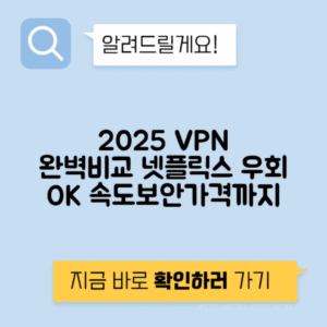 VPN 서비스 속도 보안 가격 넷플릭스 우회 가능 여부 비교 2025