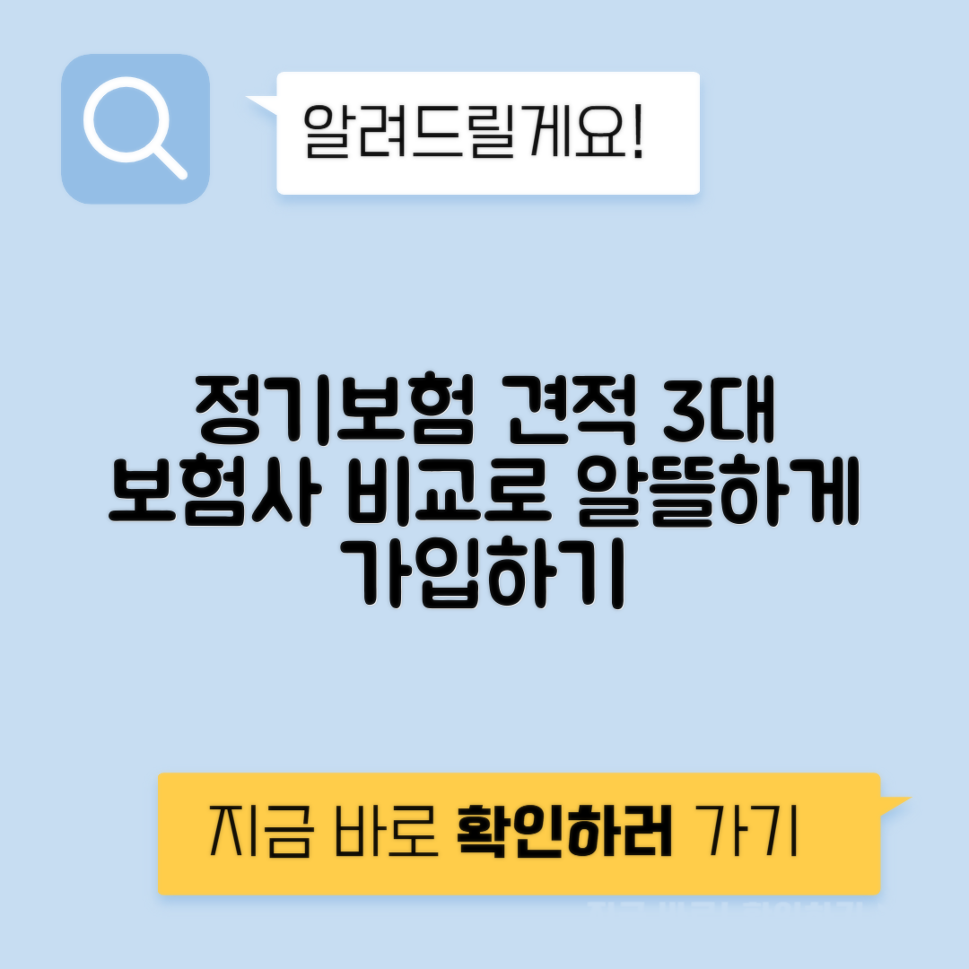 정기보험 비교 | 교보, 하나, 라이나생명으로 알아보는 합리적 사망보험