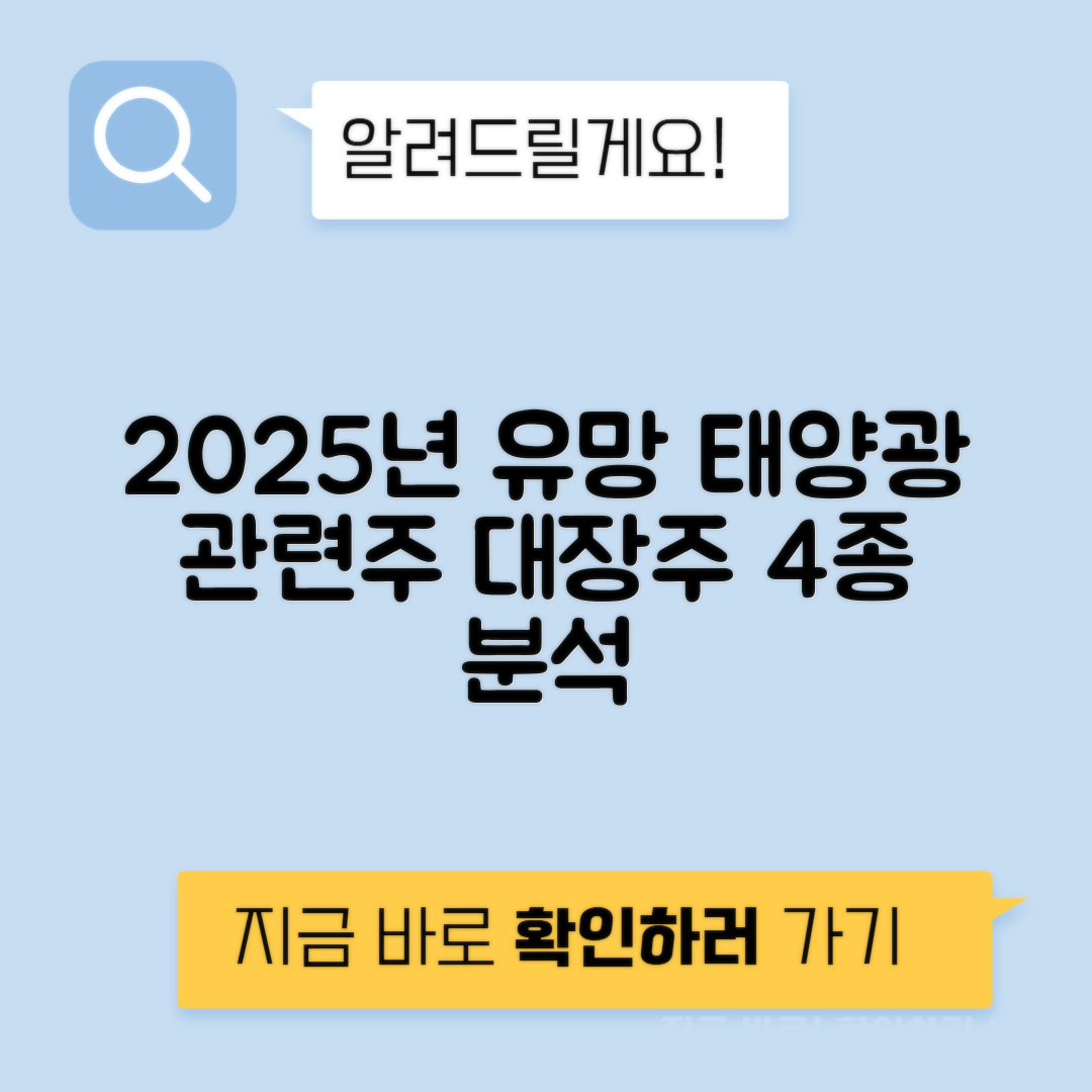2025년 유망 태양광 관련주 분석, 한화솔루션 OCI 포스코홀딩스 효성첨단소재