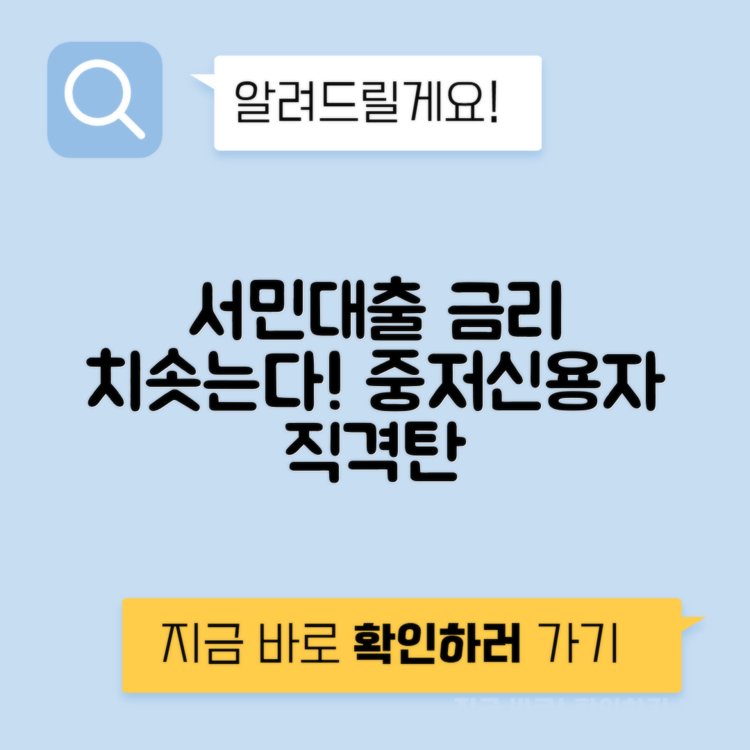 소액대출 금리 상승 - 중저신용자의 현실 분석